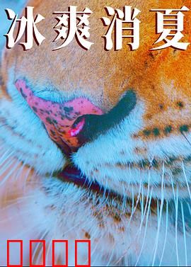 寒冰白血：冰火逆转救赎