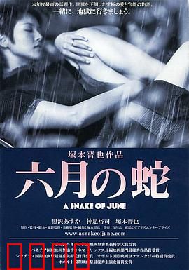 六月之蛇：雨中的欲望迷局