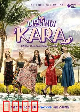 只有没有我，KARA：孤独者的世界