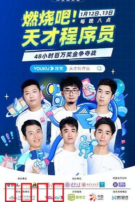 燃烧吧！天才程序员：黑客逆袭之战
