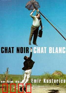 黑猫白猫：疯狂吉普赛人