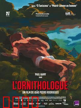 鸟类学家：狂野救赎