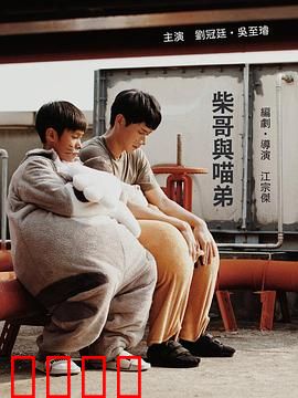 柴哥与喵弟：城市流浪记