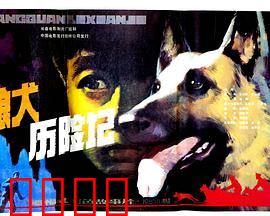 狼犬历险记：忠诚与冒险之旅
