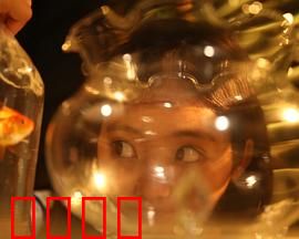 樓上樓下：邻里恩怨