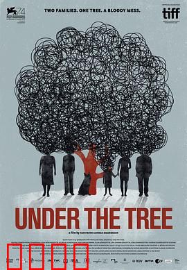 树下惊魂：命案谜底