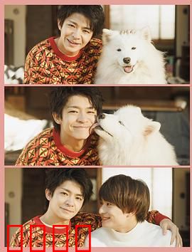 爱你汪汪：狗狗也能治愈一切