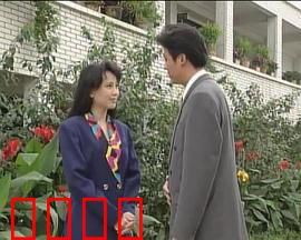 走出雨季：雨后见彩虹