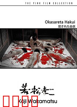 被侵犯的白衣：暗夜守护者