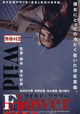 青春H2之狂野之花：冲破束缚的旋律